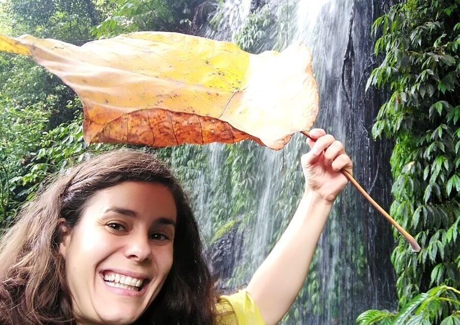 Banyumala waterfall