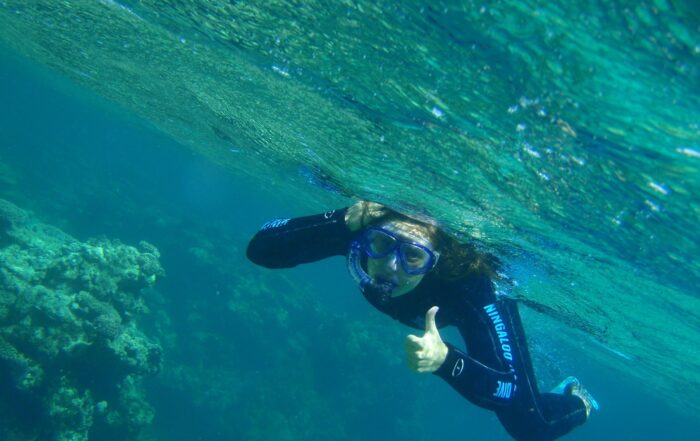 vacanze avventura snorkeling Ningaloo Reef