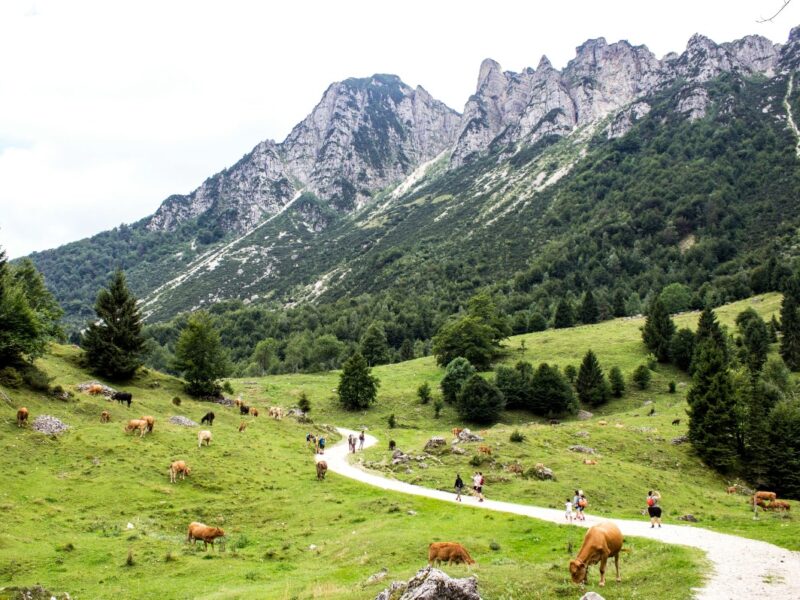piccole dolomiti