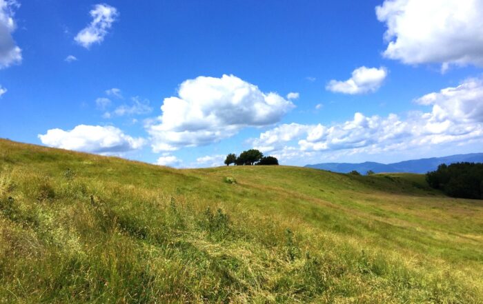 Casentino panorama