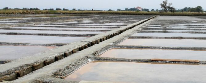 saline di cervia