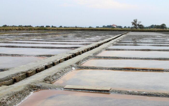 saline di cervia