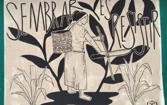 clinica parteria ancestrale ecuador