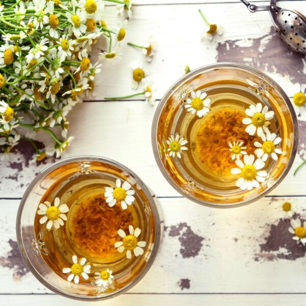 tisana camomilla