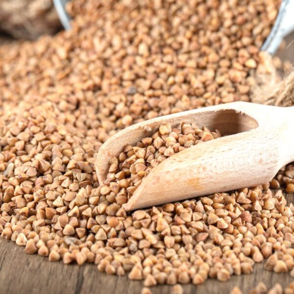 crepes grano saraceno in chicco