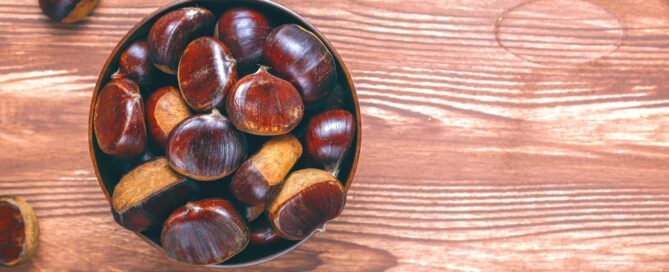 ricette dolci farina di castagne